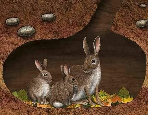 🍂🐇🍁🐇🍃 Underground Animals, Spotted Rabbit, Burrowing Animals, Underground Illustration, Animal Homes, Rabbit Habitat, Science Labs, Monster Coloring Pages, School Murals