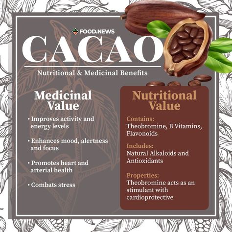 Cacao Nibs Benefits, Cacao Health Benefits, Cocoa Benefits, Benefits Of Cacao, Cacao Benefits, Cacao Fruit, Nature Medicine, Dark Chocolate Benefits, Cacao Ceremony