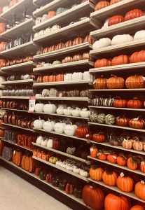 Halloween Hobby Lobby, Hobby Lobby Halloween Decor, Fall Decor Hobby Lobby, Hobby Lobby Halloween, Hobby Lobby Fall Decor Ideas, Hobby Lobby Fall Decor, Halloween Apartment, Hobby Lobby Fall, Thrift Store Diy Projects