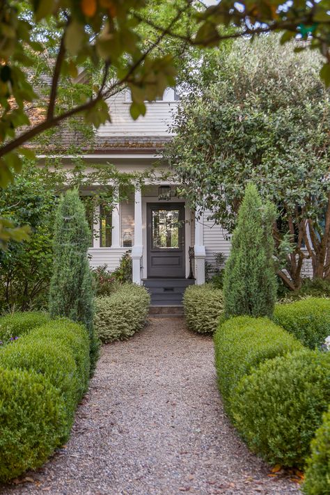 Boxwood Landscaping, Box Hedging, Boxwood Balls, Walkway Design, Front Walkway, Victorian Farmhouse, Exterior Renovation, Front Landscaping, Backyard Spaces