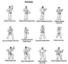 blocks Karate Blocks, Goju Ryu Karate, Karate Quotes, Karate Moves, Karate Kata, Goju Ryu, Karate Dojo, Taekwondo Training, Kyokushin Karate