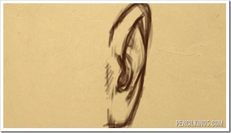 How to Draw an Ear | 02 | Front View 12 blog ear front view How To Draw Ears From Front View, Ear Front View Drawing, Ear From Front View, Drawing Ears Front View, Ears Front View Drawing, Ear Drawing Front View, Ear References Front View, Ear Front View, Ear Drawing Reference