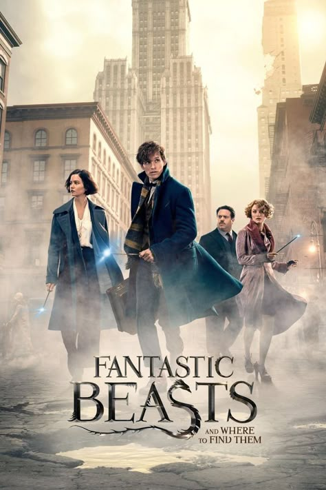 Fantastic Beasts And Where To Find Them (2016) Alison Sudol, Mary Poppins 1964, Fantastic Beasts Movie, Pretty Office, Ron Perlman, رعب نفسي, Newt Scamander, Movies 2016, Eddie Redmayne