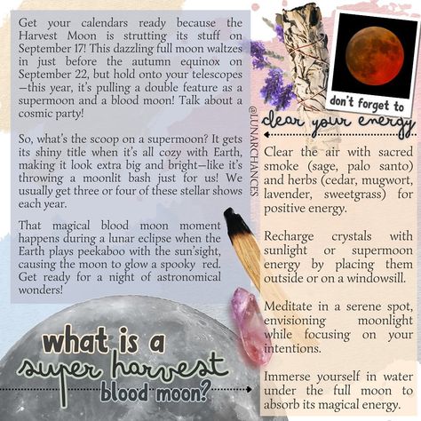 What are you hoping to manifest during this harvest blood moon? Need Sage, Palo Santo or crystals? Check out my Etsy shop. ⬇️ https://lunarchances.etsy.com #manifest #manifestation #superharvestbloodmoon #harvestmoon #harvest #bloodmoon #bloodmooneclipse #cleanseyoursoul #cleanseyourspace #cleanseyourenergy #sage #palosanto #herbcleanse #crystals #crystalsofig #crystalsofinstagram #healingcrystals #etsy #etsyshop #etsyseller #etsyfinds #etsysellersofinstagram #etsystore #etsysellers #etsygi... Cleansing Crystals Full Moon, Harvest Moon Affirmations, Peach Moonstone Properties, Harvest Moon Crystals, Full Moon Crystal Charging, Blood Moon Eclipse, Blood Moon, Super Moon, Harvest Moon