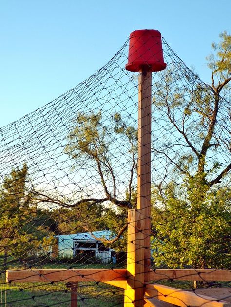 Chicken Coop Netting, Chicken Netting Fence, Chicken Fence Around Garden, Chicken Run Netting, Fencing For Chickens, Netting Over Chicken Run, Bird Netting Chicken Coop, Diy Chicken Fence, Chicken Fencing Ideas