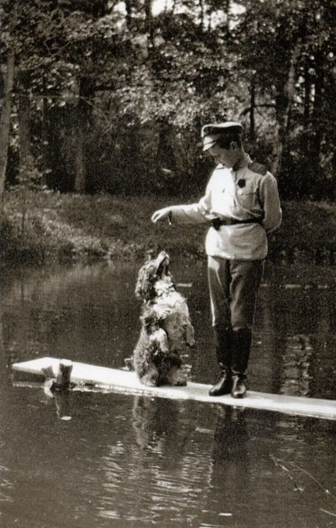 Tsesarevich Alexei with Joy, Tsarskoe Selo, 1917 Alexei Nikolaevich, Alexei Romanov, Nicolas Ii, Grand Duchess Olga, Alexandra Feodorovna, Russian Literature, Romanov Dynasty, Tsar Nicholas Ii, Tsar Nicholas