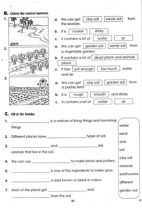 Soil Worksheet, Layers Of Soil, Coordinates Math, Grade 3 Science, Anger Management Worksheets, Coordinate Graphing, 7th Grade Science, English Grammar Book, Homeschool Projects