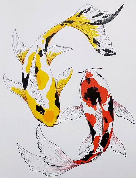 #Koifish #art #drawing #sketch #colors #fun #easy Drawn Koi Fish, Drawings Of Koi Fish, Beautiful Fish Drawing, Two Fish Painting, Asian Fish Drawing, Coy Fish Doodle, Drawing Ideas Koi Fish, Koi Fish Marker Drawing, Koi Fish Pond Photography