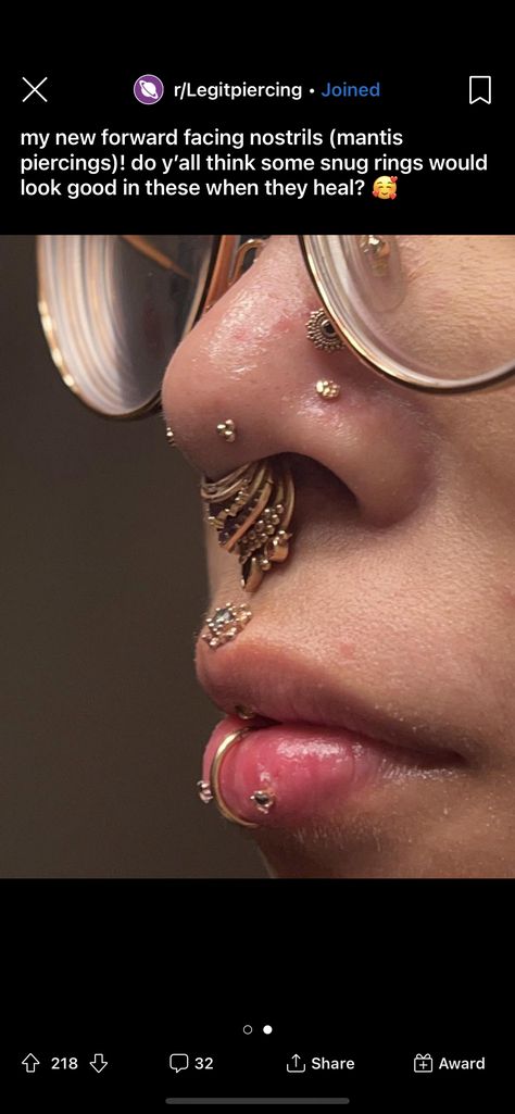 Mantis Nose Piercing, Face Full Of Piercings, Stacked Septum, Mantis Piercing, Two Nose Piercings, 3 Lobe Piercings, Septum Nose Piercing, Septum Piercing Jewelry, Face Piercings