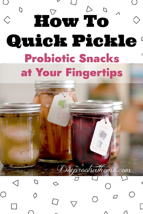 Quick Pickling Recipes & Tips: Probiotic Snacks at Your Fingertips. #food #health #recipes #healthy #dinner #lunch #healthyeating #healthysnacks #digestion #healthyrecipes #tasty #recipe #wellness #tips #hacks #canning #ideas #natural #easy #pickles #crispy #probiotics #seasalt #healthyrecipes #delicious #beneficial #cucumber #healthyliving #canning #summer #easyrecipe #brine #fermentation #homemade #gardening #fall #fermented #garden #homemade Easy Pickles, Dill Carrots, Pickle Brine, Fermented Kimchi, Fermented Pickles, Christian Homemaking, Canning Ideas, Fall Vegetables, Food Gluten Free