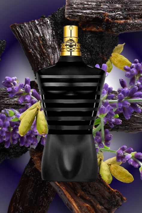 Le Male Le Parfum by Jean Paul Gaultier is a Amber fragrance for men. Le Male Le Parfum was launched in 2020. Le Male Le Parfum was created by Quentin Bisch and Natalie Gracia-Cetto. Top note is Cardamom; middle notes are Lavender and Iris; base notes are Vanilla, Oriental notes and Woodsy Notes. Jean Paul Gaultier Le Male Le Parfum, Jean Paul Gaultier Perfume Men, Mens Perfumes, Jean Paul Gaultier Le Male, Best Perfume For Men, Money Pictures, Le Male, Best Perfume, Crowd Pleaser