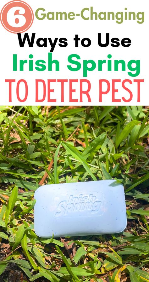 The first time I saw this, it just grabbed me. Is it possible to use Irish Spring soap as a pesticide? That was my question until...Read the full article here. #pest#pests#householdhacks#pestrepellent#pestrepeller#cleaningtips#hacks Irish Spring Bug Repellent, Deer Repellent Homemade Irish Spring, Irish Soap For Flies, Irish Spring Soap For Mosquitos, Uses For Irish Spring Soap, Irish Spring Soap For Flies, Irish Spring Soap Hacks, Irish Spring Soap In Garden, Irish Spring Soap Uses Pest Control