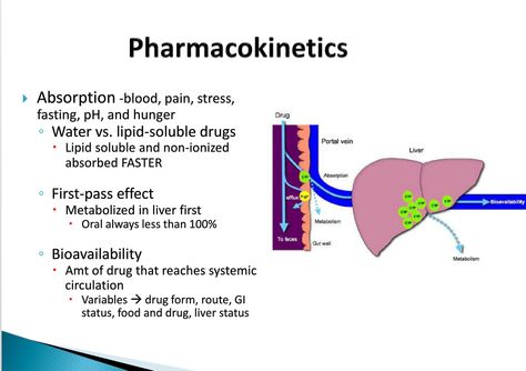 Pharmacokinetics Pharmacokinetics Pharmacology, Pharmacokinetics Notes, Advanced Pharmacology, Pharmacology Notes, Nursing Pharmacology, Pharmacology Studying, Np School, Paramedic School, Nursing Information