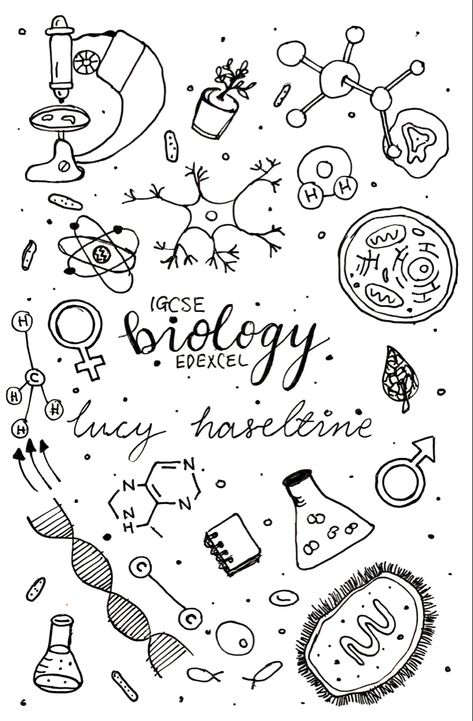 Biology Aesthetic Art Easy, Science Doodles Biology, Biology Cover Page Design Project, Biology Doodle Art, Biology Cover Page Design Aesthetic, Bio Cover Page, Biology Book Cover Design, Biology Project Cover Page Design, Biology Art Design