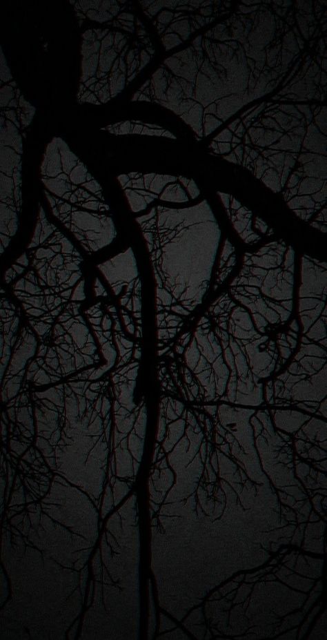 Dark Forest Aesthetic Night Moon, Dark Night Asthetics, Woods At Night Aesthetic, Dark Figure Shadows, Dark Tree Aesthetic, Dark Tree Wallpaper, Dark Trees Aesthetic, Night Tree Aesthetic, Dark Night Photography