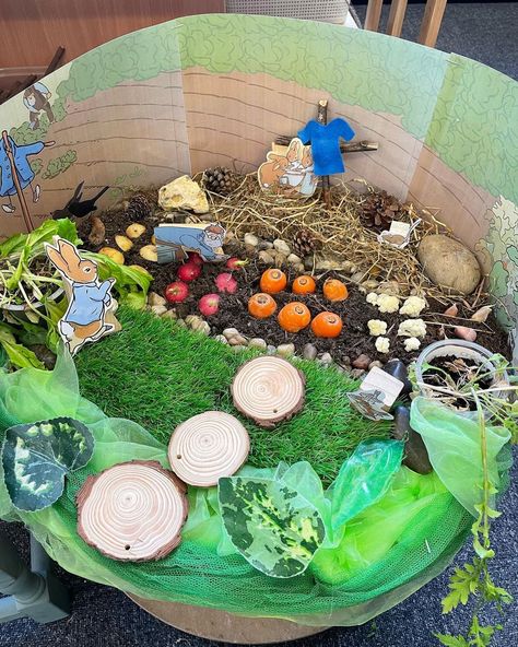 Peter Rabbit Sensory Bin, Peter Rabbit Sensory Play, Peter Rabbit Activities, Provocation Ideas, Rabbit Theme, Role Play Areas, Play Garden, Easter Activity, Daycare Ideas