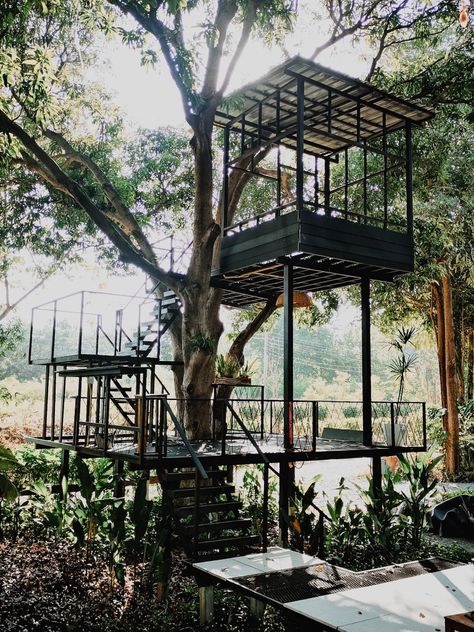 Island Tree House, Modern Treehouse, Micro House Plans, Decorating Ideas Classroom, Treehouse Cabins, Tree House Plans, Tree House Diy, Concept Models Architecture, Cool Tree Houses