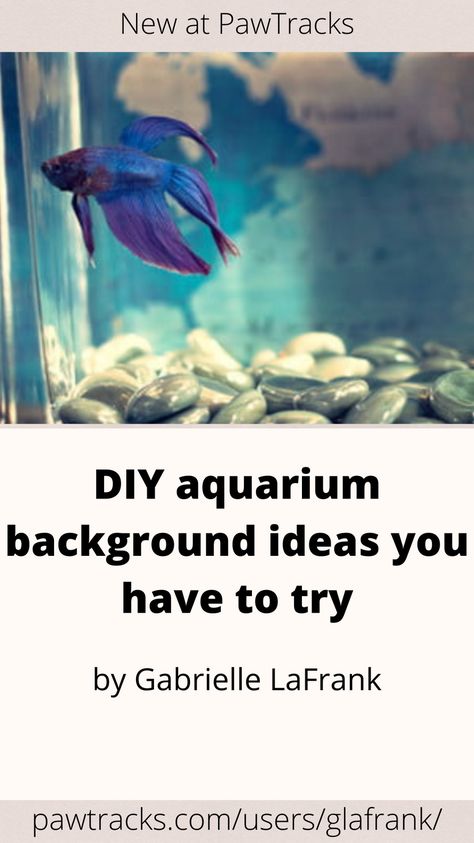 It’s important to read up on your fish’s needs so you’ll know what’s required of you, but it’s also fun to experiment a little when it comes to tank decoration. If you’re feeling extra creative, you can even make your own aquarium background to add an extra layer of depth to your fish’s tank. Read on to find out how. Fish Tank Background Diy, Fish Tank Background Ideas, Aquarium Backgrounds Wallpapers, Diy Fish Tank Decor, Aquarium Background Diy, Aquarium Background Ideas, Aquarium Decorations Diy, Diy Fish Tank Decorations, Diy Aquarium Background