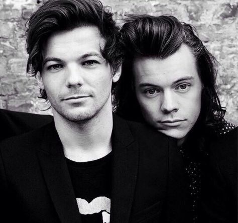 Larry Larry Stylinson Wattpad, Larry Wattpad, Rose And Dagger, Princess Parking, Larry Shippers, Brand Partnership, Louis And Harry, Larry Stylinson, Best Couple