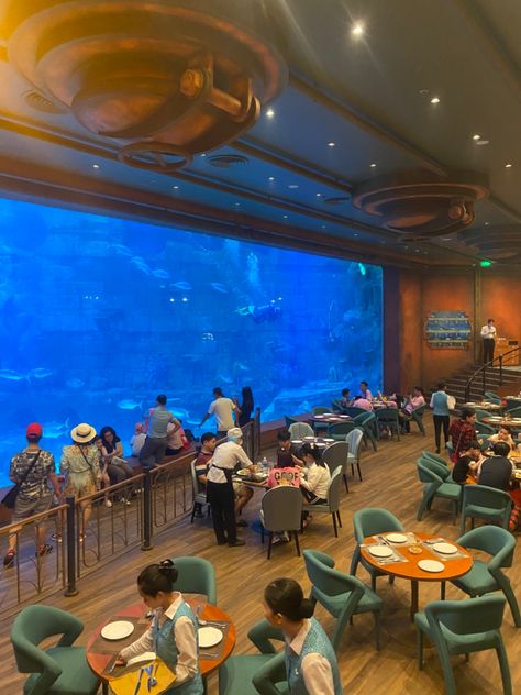 #restaurant #aquarium #recipe #travel #tourism #vietnam #random #randompictures Aquarium Restaurant Design, Aquarium Cafe, Aquarium Restaurant, Water Restaurant, Sushi Cafe, Ocean Restaurant, Fish Restaurant, Cool Fish Tanks, Decoration Restaurant