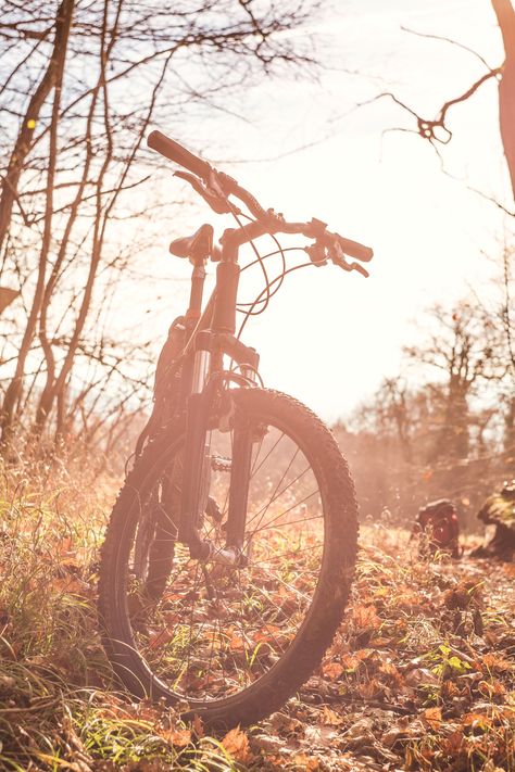 Bike Background, Biking Aesthetic, Mountain Biking Quotes, Mountain Biking Photography, Bicycle Photography, Mountain Bike Art, Mountain Biking Women, Mountain Biking Gear, Camping Inspiration