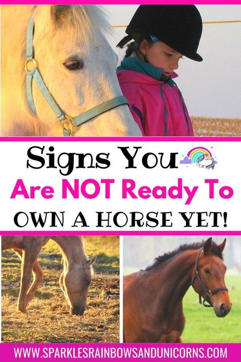 In this post you'll see a list of questions to help determine if you're ready to own a horse. If you answer no to any of them you are not yet ready to own a horse. Horse's are a lot of responsibility. You want to make sure you are prepared and able to take on all that comes with owning a horse. If a child's involved there are tips to help them prove if they're responsible enough to have their own horse. #sparklesrainbowsandunicorns #buyingahorsetips #firsttimehorseowner #horseownership How To Tack Up A Horse English, Horse Life Hacks, Things To Do With Horses, Things To Know About Horses, How To Take Care Of A Horse, Owning A Horse For The First Time, Horse Must Haves, Horse Tips And Tricks, Horse Riding Tips English