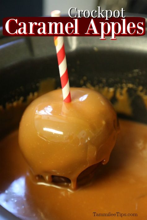 Apple Crockpot Recipes, Crock Pot Caramel, Carmel Apple Recipe, Crockpot Caramel, Caramel Apple Kits, Caramel Apple Sauce, Halloween Soup, Diy Caramel, Fall Desserts Apple