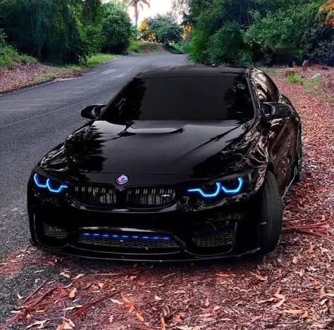 Bmw New Cars, Bmw F10 M5, Kereta Sport, E60 Bmw, Bmw Tuning, Luxury Cars Bmw, Tmax Yamaha, Roadster Car, Bmw Black