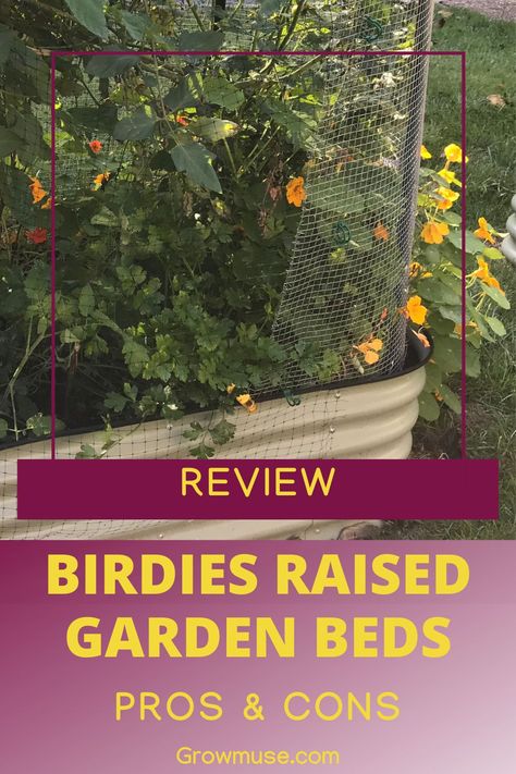 What You Need To Know Before Purchasing Birdies Raised Garden Beds The Birdies Garden Beds have been Australia’s #1 selling raised bed for years. Raised garden bed kits made of Aluzinc steel are perfect for busy people. You'll have a garden up and running in the quickest possible way. If you’re in the market for a raised garden bed, you’ll want to know more about this one before you make a purchasing decision. Birdies Raised Garden Beds, Growing Vegetables Indoors, Metal Garden Beds, Raised Garden Bed Kits, Beginner Gardening, Diy Garden Bed, Building A Raised Garden, Farmers Insurance, Easy Vegetable