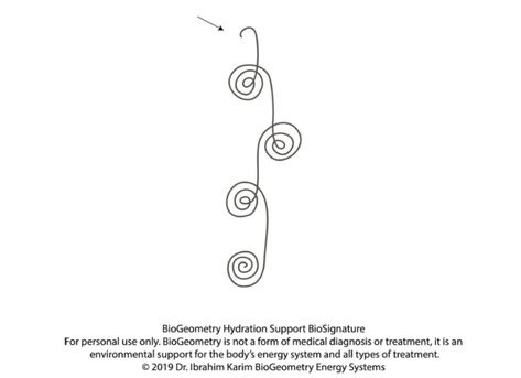 Biogeometry Design, Biogeometry Symbols, Biogeometry Signatures, Bio Geometry, Energy Symbols, Spiritual Consciousness, Healing Symbols, Sensory System, In Flow