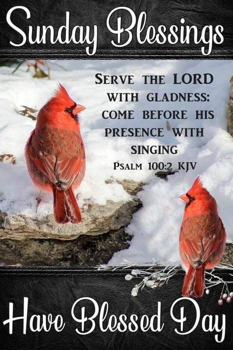 January Blessings, Easter Inspirational Quotes, Scripture Blessings, Sunday Morning Wishes, January Images, Sunday Scripture, Winter Sunday, Cardinal Winter, Signs From Heaven