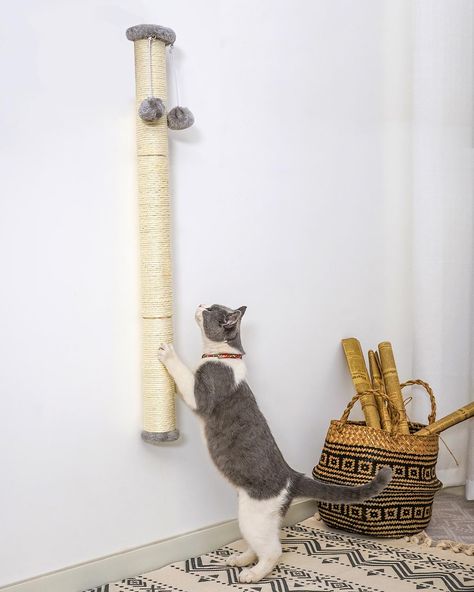 PRICES MAY VARY. STABLE & STURDY: Wall-mounted cat scratching post, avoid being knocked over during the cat scratching and can withstand intense scrambling TALL ENOUGH: Overall height 34 inches, which can be used by both large and small cats; also head rubs, climbing & stretching, scratching can be satisfied with one post, keeps you cat active NATURAL & ECO-FRIENDLY: Made of Eco friendly natural sisal, attracts cats to play to avoid scratching your sofa, saves your furniture COMPACT DESIGN: It a Natural Sisal, Cat Scratching Post, Scratching Post, Small Cat, Large Cats, Cat Scratching, Floor Space, Compact Design, Wall Mount