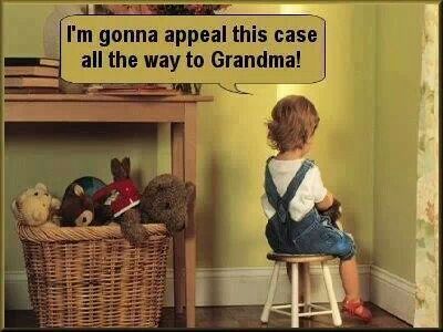 I'm gonna appeal this case all the way to Grandma! Grandparents Quotes, Grandma Quotes, Discipline Kids, Life Quotes Love, Positive Discipline, Grandma And Grandpa, Grandchildren, Parenting Hacks, A Child