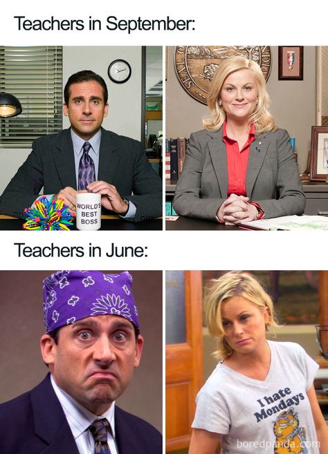 25+ Of The Best Teacher Memes That Will Make You Laugh While Teachers Cry Teacher Humour, Teacher Memes Funny, Teaching Memes, Teaching Humor, Bored Teachers, Lemongrass Spa, Teacher Problems, Funny School, Teacher Memes