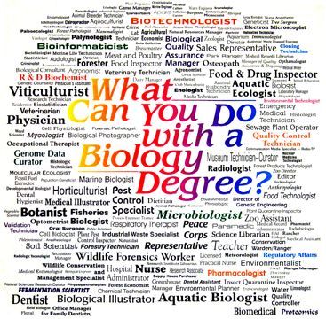 This is a poster which indicates what kind of career you can pursue after obtaining your biology degree. Science Careers, Biology Degree, Biology Ideas, Biology Teaching, Ap Bio, Biology Major, Biology Resources, I Love Science, School Biology