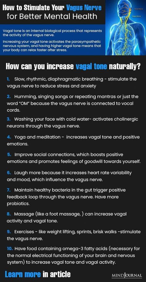 Nerf Vague, Nervus Vagus, Nerve Health, Facial Nerve, Diaphragmatic Breathing, Parasympathetic Nervous System, Vagus Nerve, Fitness Advice, Good Mental Health