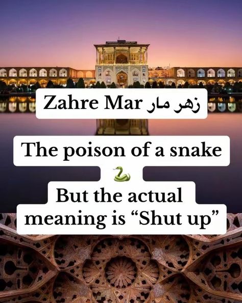 The Persian language 🤣🤣🤣🤣 Repost from @persian • Persian phrases that don’t exist in English. Do you know any others? 😁😍 (swipe 👉) Persian Phrases, Learn Persian, Persian Language, Slang Words, Shut Up, Vocabulary, Persian, Did You Know, Meant To Be