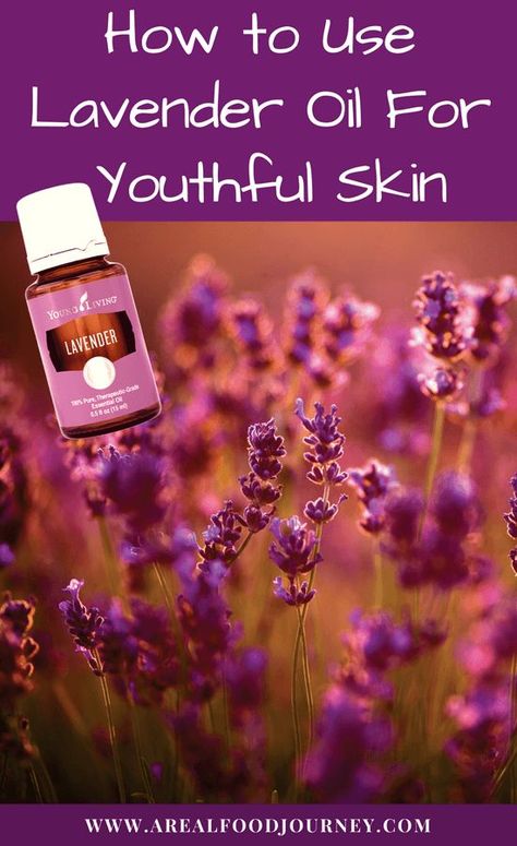 Learn all about how to use lavender essential oil for your face. Adding lavender essential oil to your skin care will leave you with younger, smoother, amazing skin! Lavender Oil For Skin, Lavender Essential Oil Uses, Lavendar Oil, Olive Oil For Face, Using Lavender, Young Living Lavender, Lavender Uses, Essential Oils For Face, Essential Oil Skin Care