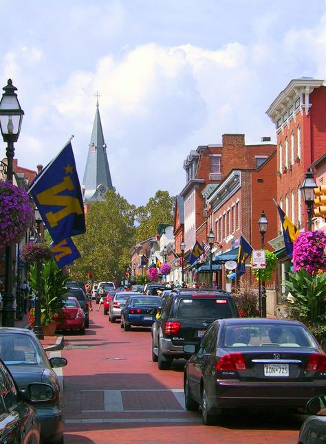 6 Things to Know Before Moving to Annapolis Maryland Downtown Annapolis, United States Naval Academy, Annapolis Maryland, Naval Academy, Studio Apartments, Food Tour, Baltimore Maryland, Chesapeake Bay, Been There Done That