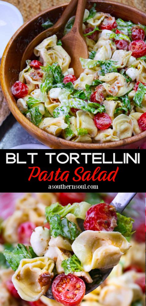 Cold Cheese Tortellini Pasta Salad, Ravioli Salad Cold, Creamy Tortellini Pasta Salad, Tortolini Pasta Salad, Cold Tortellini Pasta Salad, Anti Pasta Salad, Tortellini Salad Recipes, Salad Types, Meal Salads