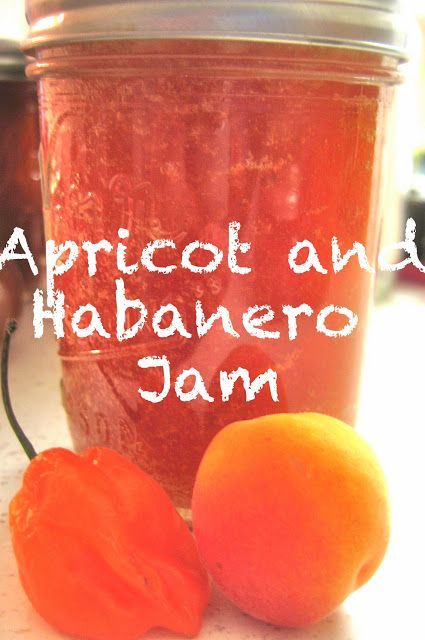 Apricot and Habanero Jam | Live Life in the W.O.W Habanero Pepper Jelly, Habanero Jam, Nectarine Jam, Habanero Jelly, Salsa Canning Recipes, Apricot Jam Recipes, Canning Jam Recipes, Pepper Jelly Recipes, Diy Jelly