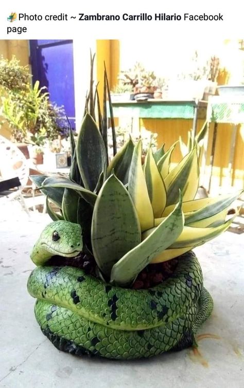 Plant Animals, Agate Decor, Snake Plants, Ceramic Succulent, Tanah Liat, Snake Plant, Home Decor Tips, Plant Life, Indoor Garden