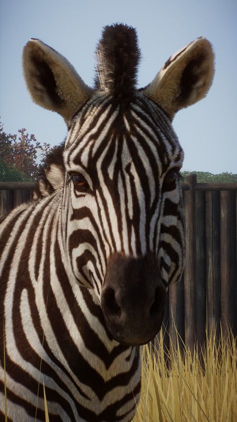 Steam Community :: Planet Zoo Planet Zoo Animals, Zoo Astetic, Pygmy Hippopotamus, Three Animals, Zoo Games, Zoo Pictures, Zoo Tycoon, Zoo Trip, Zoo Animals Photography