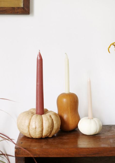 Use mini pumpkins and gourds to make these adorable candle holders in under 5 minutes! Diy Pumpkin Candle, Pumpkins And Gourds, Pumpkin Candle Holder, Pumpkin Candle, Pumpkin Candles, Small Pumpkins, Diy Pumpkin, Thanksgiving Parties, Pumpkin Crafts