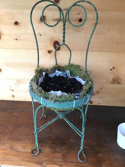 How to Make a DIY Succulent Chair Planter #ChairDecorations Gardening Beds, Chair Planter, Succulent Garden Design, Succulent Garden Diy, Metal Chair, Succulent Gardening, Home Vegetable Garden, Creative Gardening, Garden Yard Ideas