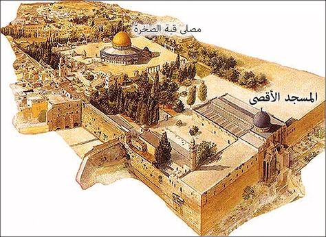 The whole area enclosed within the rectangular wall is called Al-Masjid Al-Aqsa. Total area 144000 square metres: خريطة ذهنية, Dome Of The Rock, Ancient Mesopotamia, Islam Religion, Islamic Artwork, Cool Pictures Of Nature, Holy Land, Islamic Architecture, Art History