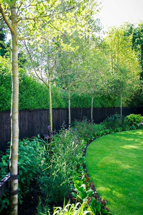 Fence And Hedge, Kitchen Bar Diy, Landscape Gardening, Contemporary Garden Design, Bar Diy, Privacy Landscaping, Minimalist Garden, Pool Garden, Modern Garden Design