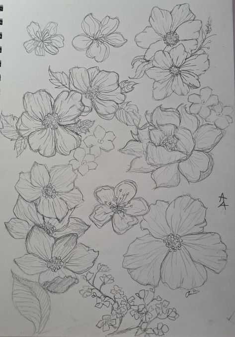 Group Of Flowers Drawing, Page Of Flowers Drawing, Page Full Of Flowers Drawing, Bed Of Flowers Drawing, Big Flower Sketch, Pencil Drawn Flowers, Flower Edge Border Drawing, Sketch Book Flowers Drawing, Large Flower Drawing