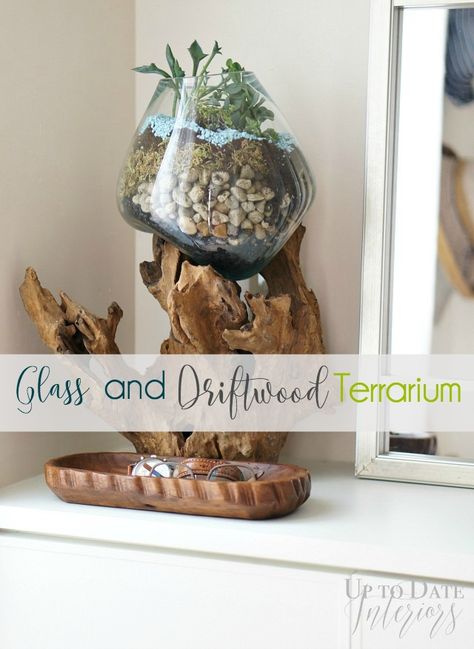 Fish Bowl Centerpieces, Driftwood Terrarium, Horticulture Projects, Global Eclectic Decor, Fishbowl Centerpiece, Bowl Centerpieces, Driftwood Centerpiece, Free Furniture Plans, Terrarium Centerpiece