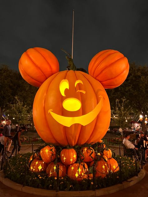 Disneyland Halloween Party, Halloween Time At Disneyland, Mouse Pumpkin, Mickey Mouse Pumpkin, Disney Pumpkin, Fake Pumpkins, Ancient Recipes, Mickey Pumpkin, Pumpkin Carriage